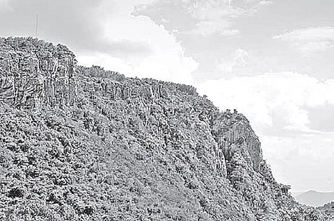 Seshachalam Forest to be Fenced