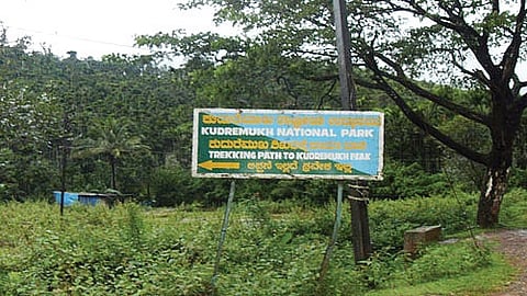 Doubt Reserved on Kudremukh National Park in Karnataka