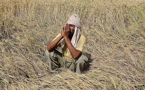 Maharashtra Agriculture Minister Says No 'Conrete' Solution for Suicides, Vidharbha Farmers Furious