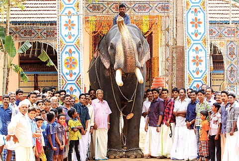 The Jumbo Effect