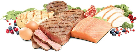 Study finds South Indians Low on Protein