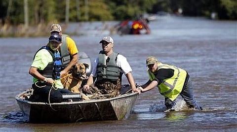 South Edgecombe Fire and Rescue workers rescue several dogs that were trapped in homes flooded by rising water from Town Creek in Pinetops, North Carolina | AP