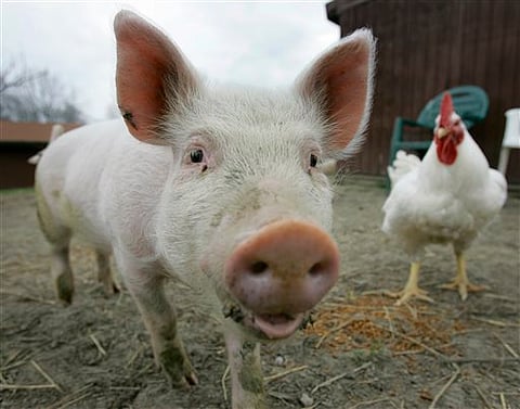 Representational Images Only. | AP