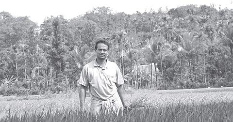Johnson in his paddy field in Wayanad