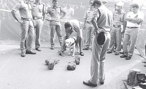 Police officials and the dog squad inspecting the spot where Faisal was hacked