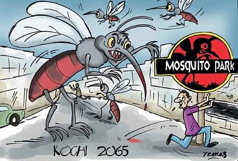 A_caricature