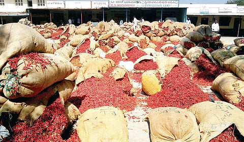 Dry chilli at Byadgi APMC market in Haveri on Friday | Express