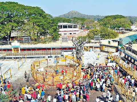 'Medaram Temple Needs Regular EO, Staff'