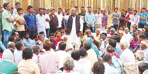 Heads' Stamp on Boycott Marndi