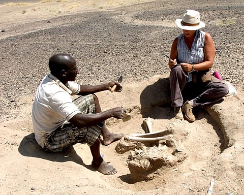 Exclusive: 10,000-year-old Massacre Site Suggests Pre-history was Brutal