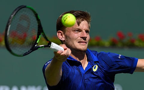 David Goffin. (File|AP)