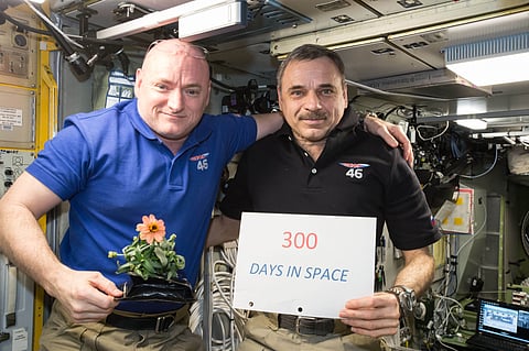 In this Jan. 21, 2016 photo made available by NASA, one-year mission crew members Scott Kelly of NASA, left, and Mikhail Kornienko of Roscosmos celebrate their 300th consecutive day in space. By spending 340 days aboard the International Space Station, th