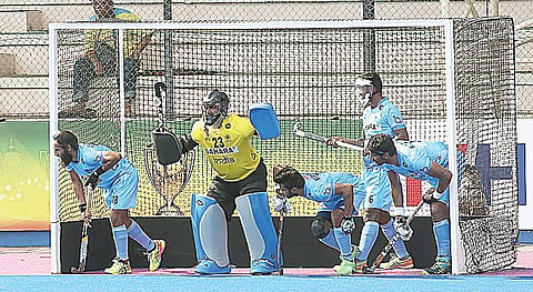 After Pakistan High, India Suffer Kiwi Setback
