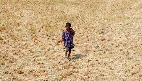 898 and 1,358 of such tragedies were recorded in the first two years of Telangana's inception. Picture used for representational purposes