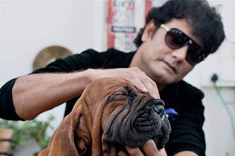 Finally, Government Bans Import of Foreign Breed Dogs