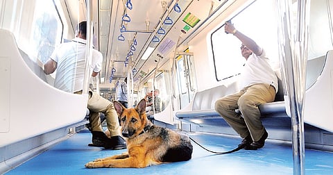 A First-hand Account of Namma Metro's Underground Ride