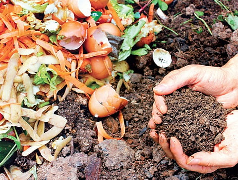 How to make soil that smells like first Rains