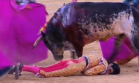 This framegrab taken from Castilla La Mancha TV shows matador Victor Barrio on the ground after being gored by a bull during a bullfight as the banderilleros distract the bull, in the Teruel bullring, east of Spain, Saturday July 9, 2016. | AP