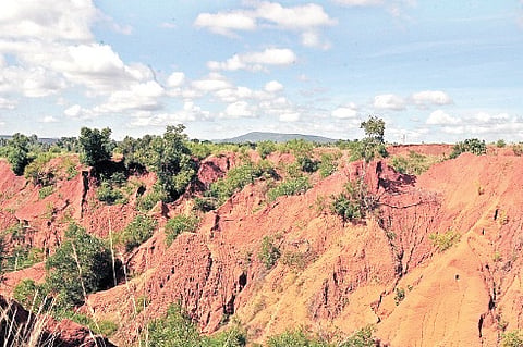 Special body to conserve Erra Matti Dibbalu sought