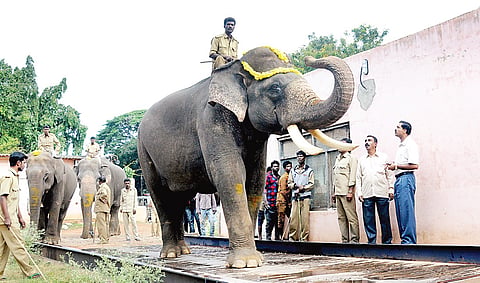 Balarama flees after seeing pond