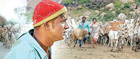 Dana Kayonu out for Dussehra