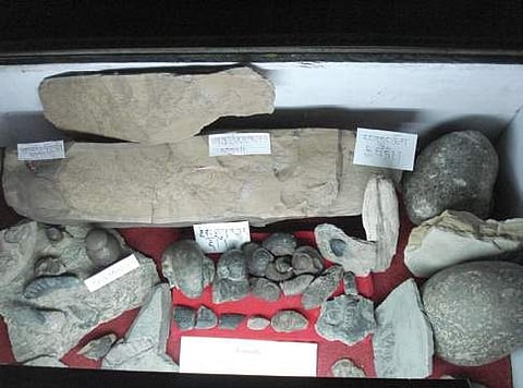 Rock and mineral samples in the museum