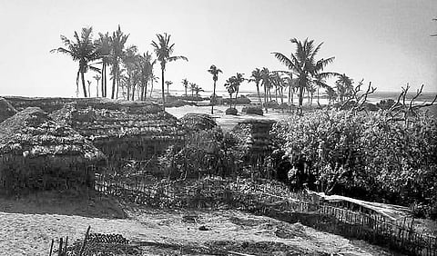 A view of Satabhaya village off the Bay of Bengal coast in Kendrapara district | Express