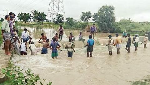 Villagers fishing in flooded Jerreru vagu in Kolimigundla mandal of Kurnool district on Monday