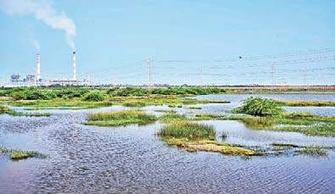 Marooned in knee-deep water, villages blame industries