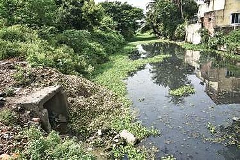 The canal connected to Adambakkam lake at Jeevan Nagar | P Jawahar