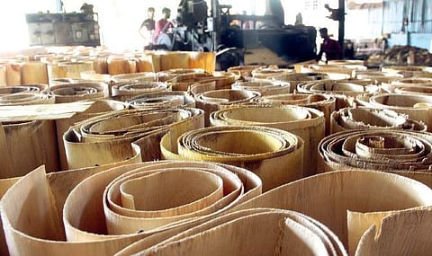 Sheets of wood kept at a plywood workshop at Perumbavoor. (Below) A worker at a furniture shop at Nellikuzhy in Perumbavoor