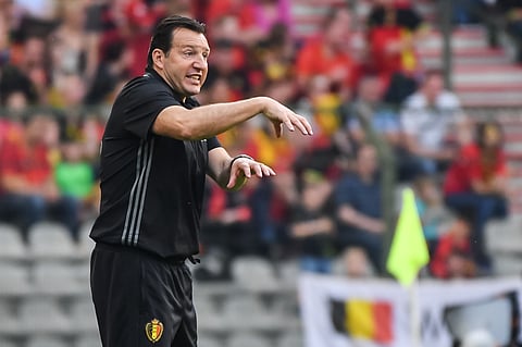 Marc Wilmots (File|AP)
