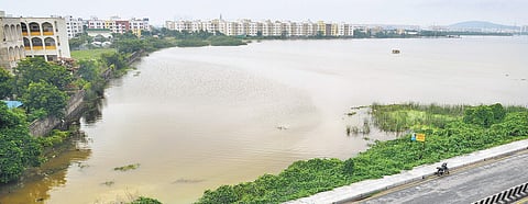 Increasing number of buildings in adjoining areas is turning out to be detrimental for the Pallikaranai marshlands, which house 349 species of flora and fauna | Sunish P Surendran
