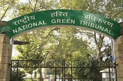 The National Green Tribunal (File Photo)