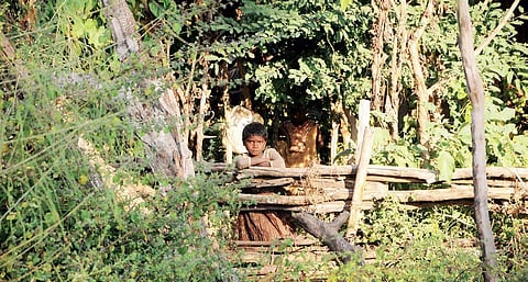 A Muria Gond girl who lost her home after officials of the forest department razed the huts in Bhupalpally district; (