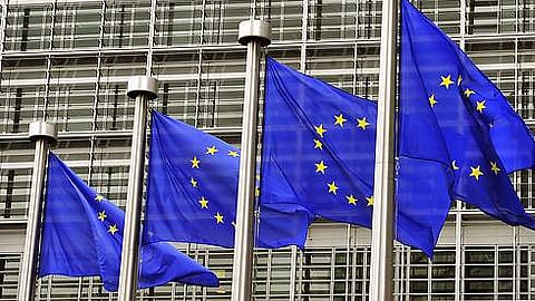 EU Flags.