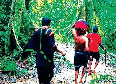 Sabarimala pilgrimage: A path offering no relief