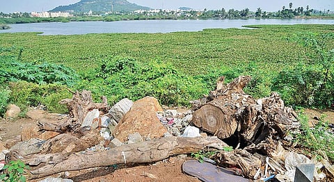 A view of Pallavaram ‘periya eri’ from the Pallavaram–Thoraipakkam Radial Road | Sunish P Surendran