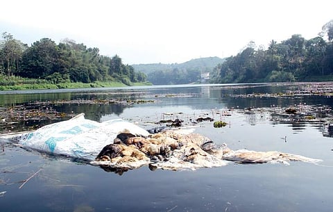 Refuse floating in Piravom puzha Melton Antony