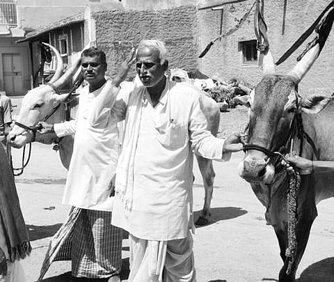 Villagers of Shirur near Navalgund with their cattle which are up for sale |D Hemanth