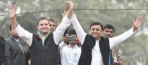 Rahul Gandhi (left) and Akhilesh Yadav (right) | PTI