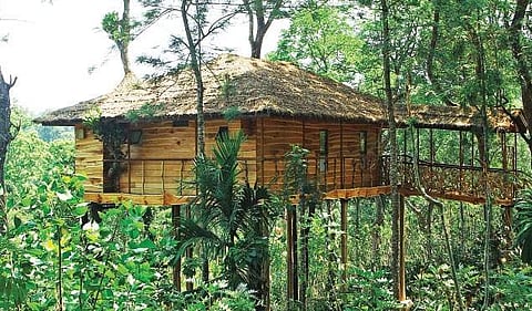 The Tranquilitree Tree House, Wayanad