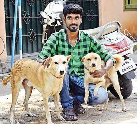 Ram and his dogs, which helped nab the man who stabbed a woman, in T Nagar, Chennai, on Wednesday | ASHWIN PRASATH