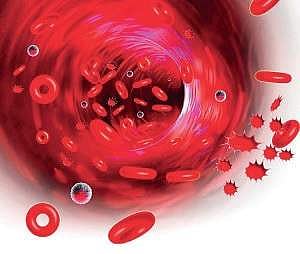 Haemovigilance in India — A vital step to blood safety: Official