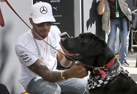 Mercedes driver Lewis Hamilton of Britain is introduced to a guide dog at the back of his garage at the track at the Australian Formula One Grand Prix in Melbourne, Australia, Saturday, March 25, 2017. | AP