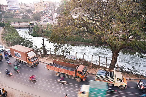 A thick blanket of froth covering Varthur lake in Whitefield area |Nagaraja Gadekal
