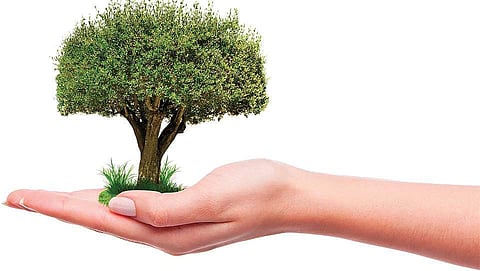 Sustainable cities are built by smart citizens