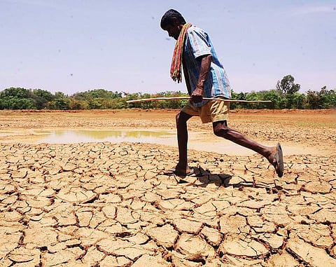 Rejuvenation of lakes in Sarjapur will help replenish groundwater table and thereby borewells | Express