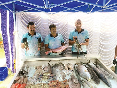 (Left to right) Co-founders Rajiv Jagadeesh, Naveen Chander and Ray Nathan
