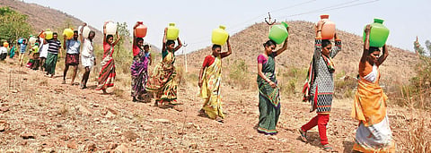 Women and men carrying drinking water from a bore around half kilometre New Gollgaondi Cheyruvu village of T Velamavaripalli mandal in Kadapa district | (P Ravindra Babu | EPS)